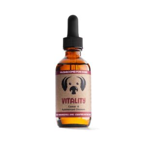 CBD Dog Health VITALITY BY MYCODOG Mushroom Extract & Adaptogen Tincture