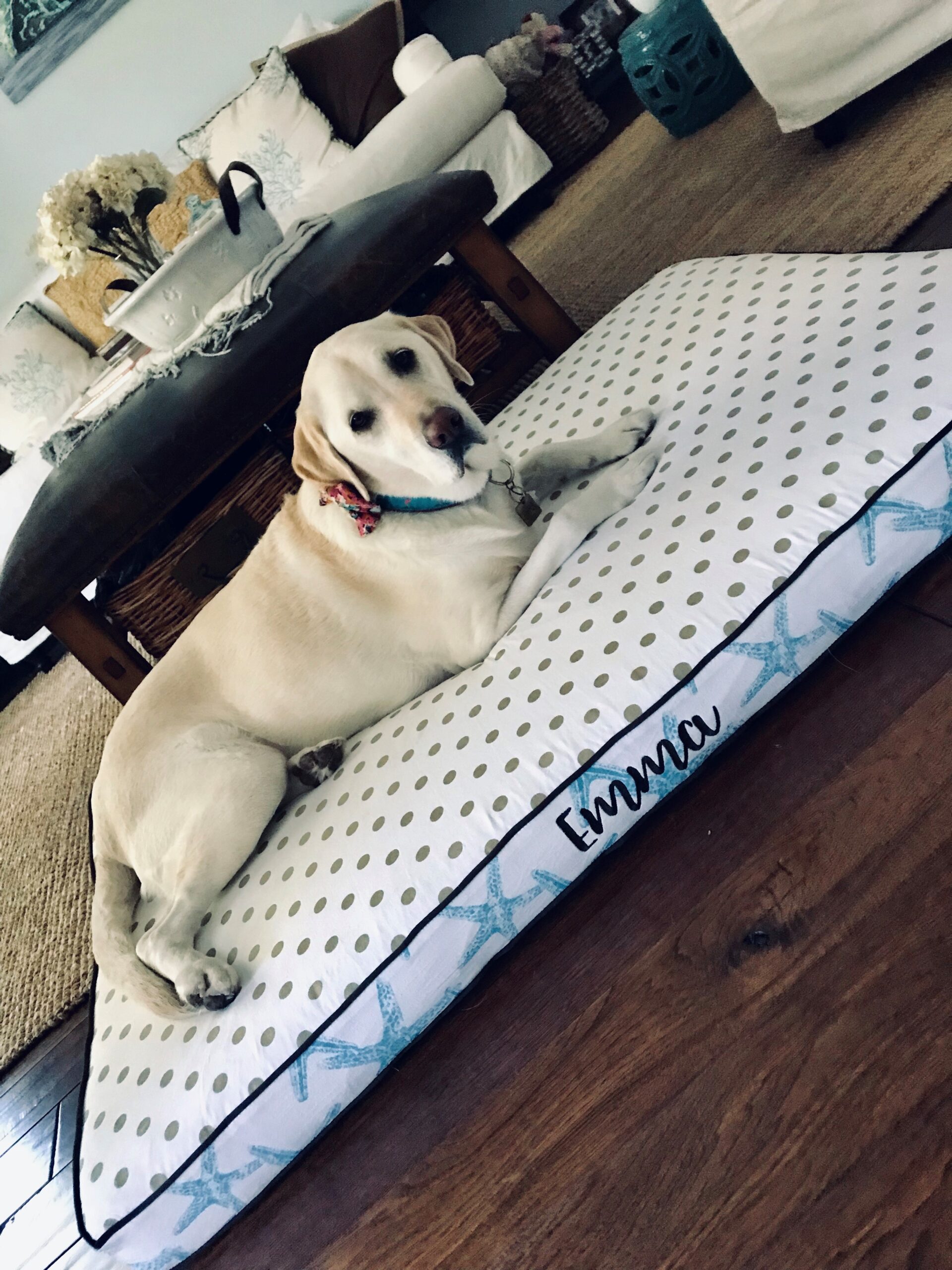 J’adore Custom Pet Bed